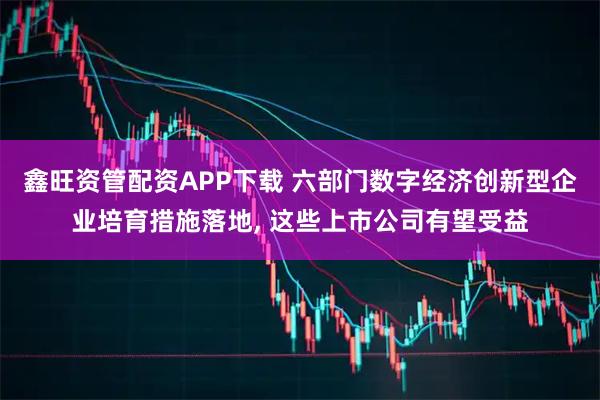 鑫旺资管配资APP下载 六部门数字经济创新型企业培育措施落地, 这些上市公司有望受益